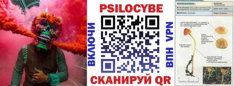 Псилоцибиновые грибы Psilocybine cubensis  дарк нет клад  Биробиджан 